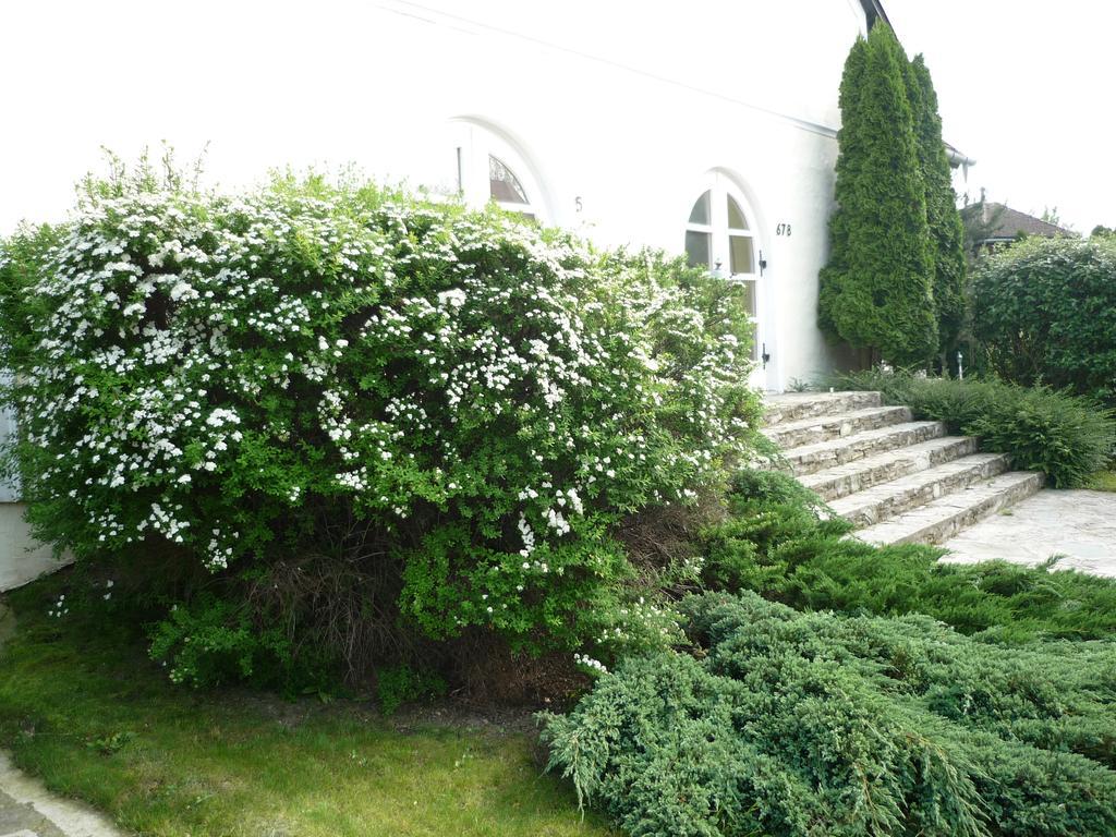 Oereg Malom Hotel Csepreg Екстериор снимка
